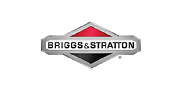 Briggs & Stratton